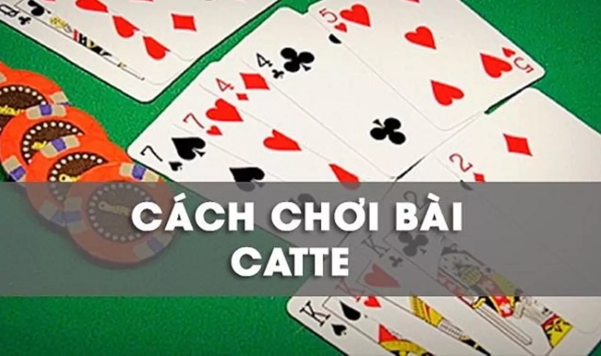 Chiến thuật chơi catte dễ thắng